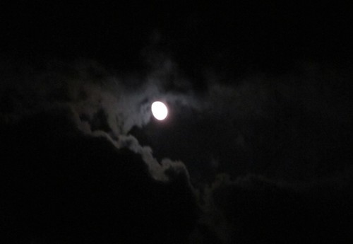 月と雲.JPG